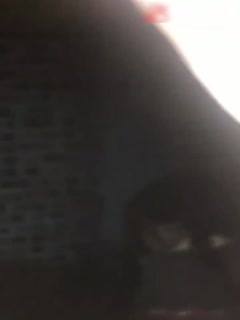 国产黄片 真实醉奸大一校花学妹不要!不要!这不是我的家 - 爱情岛-全网最全最新各类乱伦, 黑料,吃瓜系列免费视频网站