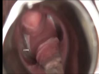 家庭乱伦 【真实迷奸】双马尾邻居妹妹，小贫乳蝴蝶穴各种玩弄被内射 - 爱情岛-全网最全最新各类乱伦, 黑料,吃瓜系列免费视频网站