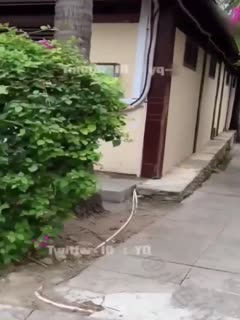 黑料吃瓜 【KQ网黄推特最新泄密】绿帽大神的极品老婆各种场合露出满足猎奇欲 - 爱情岛-全网最全最新各类乱伦, 黑料,吃瓜系列免费视频网站
