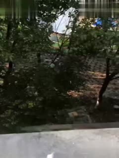 家庭乱伦 独家爆料：校园新瓜！辽宁理工校园激情！求一双没看过的眼睛！ - 爱情岛-全网最全最新各类乱伦, 黑料,吃瓜系列免费视频网站