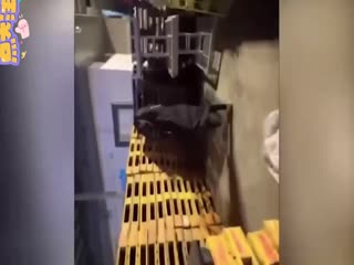 家庭乱伦 【网爆门事件】网红“一只桃桃”在普宁广场拍摄露出视频被网友举报落网 - 爱情岛-全网最全最新各类乱伦, 黑料,吃瓜系列免费视频网站
