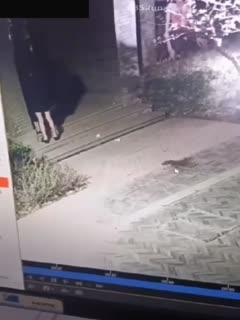 国产黄片 【黑料吃瓜】兰州老街00后骚母狗户外跟男人野战被狠狠后入监控拍下全过程 - 爱情岛-全网最全最新各类乱伦, 黑料,吃瓜系列免费视频网站