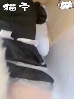 黑料吃瓜 【猫宁】神仙颜值小仙女小姐姐黑丝猫猫女仆啪啪 - 爱情岛-全网最全最新各类乱伦, 黑料,吃瓜系列免费视频网站