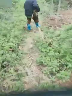 黑料吃瓜 燕姐勾搭放羊的大爷让大爷拿跳蛋捅骚逼给大爷口交爆草 - 爱情岛-全网最全最新各类乱伦, 黑料,吃瓜系列免费视频网站