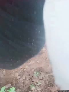 家庭乱伦 【勾搭系列】巨乳骚女 勾引在做农活的亲戚大爷 - 爱情岛-全网最全最新各类乱伦, 黑料,吃瓜系列免费视频网站
