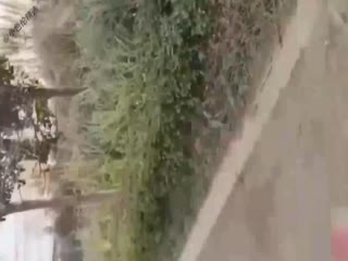 黑料吃瓜 最新真实乱伦我的亲嫂子-带嫂子公园露出加口爆吞精 - 爱情岛-全网最全最新各类乱伦, 黑料,吃瓜系列免费视频网站