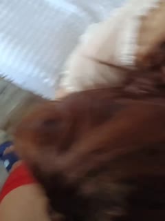黑料吃瓜 表姐今天休息主动约我出去吃饭，看来又是想我伺候她了 - 爱情岛-全网最全最新各类乱伦, 黑料,吃瓜系列免费视频网站