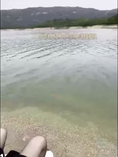 家庭乱伦 钓鱼佬弟弟和亲姐去水库露营钓鱼 趁着四下无人脱裤子激情开操 - 爱情岛-全网最全最新各类乱伦, 黑料,吃瓜系列免费视频网站