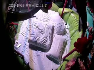 黑料吃瓜 【情趣酒店绿叶房偷拍】山东口音无毛美艳少妇被暴力输出叫的撕心裂肺 - 爱情岛-全网最全最新各类乱伦, 黑料,吃瓜系列免费视频网站