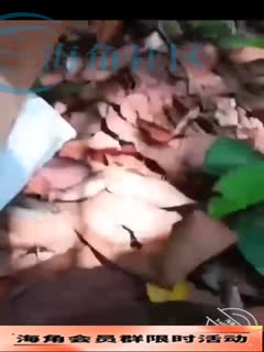 国产黄片 【兄妹乱伦】调教出来的妹妹饥渴到大姨妈现在的和胆子真厉害喊我在野外搞 - 爱情岛-全网最全最新各类乱伦, 黑料,吃瓜系列免费视频网站