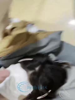 国产黄片 【母子乱伦】妈妈的丰乳肥臀，老妈换上情趣内衣大喊儿子的鸡巴太大了，直接后入灌精 - 爱情岛-全网最全最新各类乱伦, 黑料,吃瓜系列免费视频网站