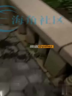 家庭乱伦 【母子乱伦】人前暴露忍不住直接在山上把老妈给内射了 - 爱情岛-全网最全最新各类乱伦, 黑料,吃瓜系列免费视频网站