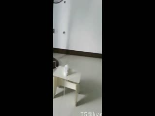 国产黄片 【母子乱伦】淫荡无耻妈妈和儿子激情乱伦，淫语连篇三观尽毁 还大胆炫耀做爱视频 - 爱情岛-全网最全最新各类乱伦, 黑料,吃瓜系列免费视频网站