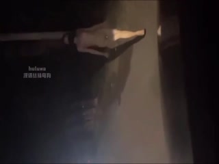 国产黄片 【萝莉】网传户外母狗校花刘雨彤 马路上自慰自风油精抹逼刺激的翻白眼 公共卫生间淫语自慰 群p掐脖窒息被玩坏 - 爱情岛-全网最全最新各类乱伦, 黑料,吃瓜系列免费视频网站