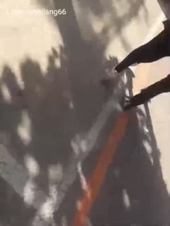 黑料吃瓜 尾随母女俩看到最后可算摸了上去，还以为是个偷拍裙底的 - 爱情岛-全网最全最新各类乱伦, 黑料,吃瓜系列免费视频网站
