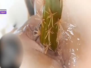 家庭乱伦 重口刺激！粗长刺硬仙人掌深入湿逼叶多尖刺抽插痛爽高潮 - 爱情岛-全网最全最新各类乱伦, 黑料,吃瓜系列免费视频网站
