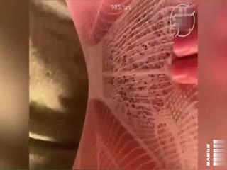 家庭乱伦 【真实乱伦门事件】姐弟乱伦，姐姐是反差婊母狗，表里不一，超刺激 - 爱情岛-全网最全最新各类乱伦, 黑料,吃瓜系列免费视频网站