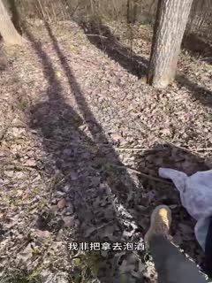 国产黄片 约上亲姐一起去吃日料，亲姐趴在桌子底下帮我口爆 - 爱情岛-全网最全最新各类乱伦, 黑料,吃瓜系列免费视频网站