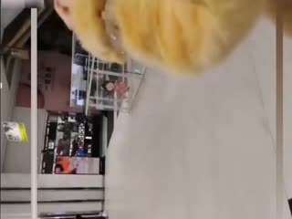 家庭乱伦 大表姐户外露出，餐厅、商场、街边不传内衣裤露出，户外性爱，看的真刺激过瘾 - 爱情岛-全网最全最新各类乱伦, 黑料,吃瓜系列免费视频网站
