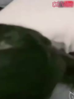 【家庭乱伦】我在姐姐房间操了姐姐外面都是亲戚 - 爱情岛-全网最全最新各类乱伦, 黑料,吃瓜系列免费视频网站