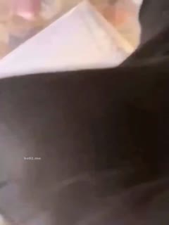 国产黄片 真实乱伦-我和我的妈妈‘外婆在睡觉我和妈妈在房间里操逼，贵在真实’ - 爱情岛-全网最全最新各类乱伦, 黑料,吃瓜系列免费视频网站