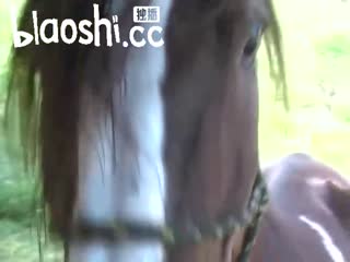 国产黄片 绝版人兽：淫乱姐妹花激情3P (1) - 爱情岛-全网最全最新各类乱伦, 黑料,吃瓜系列免费视频网站