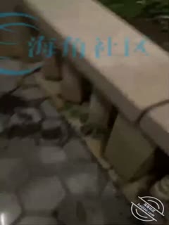 黑料吃瓜 【母子乱伦】给老妈安排开档瑜伽裤户外行人前玩露出太刺激了后入被榨内射 - 爱情岛-全网最全最新各类乱伦, 黑料,吃瓜系列免费视频网站