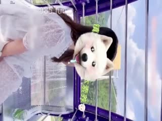 国产黄片 户外调教淫荡母狗人妻，摩天轮上操逼吓得逼水都干了，紧张又刺激 - 爱情岛-全网最全最新各类乱伦, 黑料,吃瓜系列免费视频网站