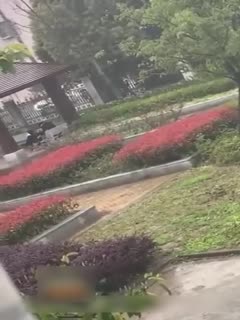 家庭乱伦 户外操逼秀大合集最后一位感觉像当街强奸 - 爱情岛-全网最全最新各类乱伦, 黑料,吃瓜系列免费视频网站