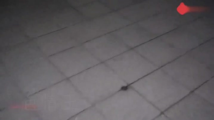 家庭乱伦 【校园学妹】女神首次出镜第一视角代入感拉满 - 爱情岛-全网最全最新各类乱伦, 黑料,吃瓜系列免费视频网站