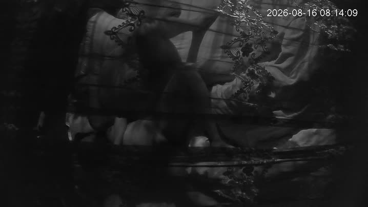 家庭乱伦 春宵阁 8-16 男人和媳妇儿早上睡醒 少妇撸屌挑衅男人 开启晨炮模式 男人操完内射 直接给女人扔床上 - 爱情岛-全网最全最新各类乱伦, 黑料,吃瓜系列免费视频网站